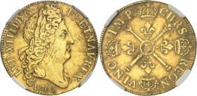FRANCE / CAPÉTIENS - FRANCE / ROYAL
Louis XIV (1643-1715). Double louis d’or aux insignes, buste aux cheveux longs, flan neuf 1705, A, Paris.
Av. LV...