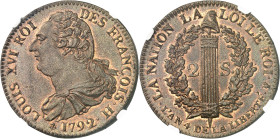 FRANCE / CAPÉTIENS - FRANCE / ROYAL
Constitution (1791-1792). 2 sols FRANÇOIS (Specimen ou essai de frappe ?) 1792 - An 4, H, La Rochelle.
Av. LOUIS...