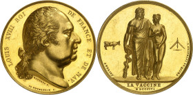 FRANCE - FRANCE
Louis XVIII (1814-1824). Médaille d’Or, récompense pour vaccinations au médecin Boujeardet, Frappe spéciale (SP) [MDCCCIV] - 1821, Pa...