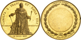FRANCE - FRANCE
Charles X (1824-1830). Médaille d’Or, le sacre du Roi, pour les Parlementaires, par R. Gayrard 1825, Paris.
Av. CAROLVS. X. FRANC - ...