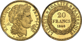 FRANCE - FRANCE
IIe République (1848-1852). Essai de 20 francs en Or, concours de 1848, par Farochon, Flan bruni (PROOF) 1848, Paris.
Av. RÉPUBLIQUE...