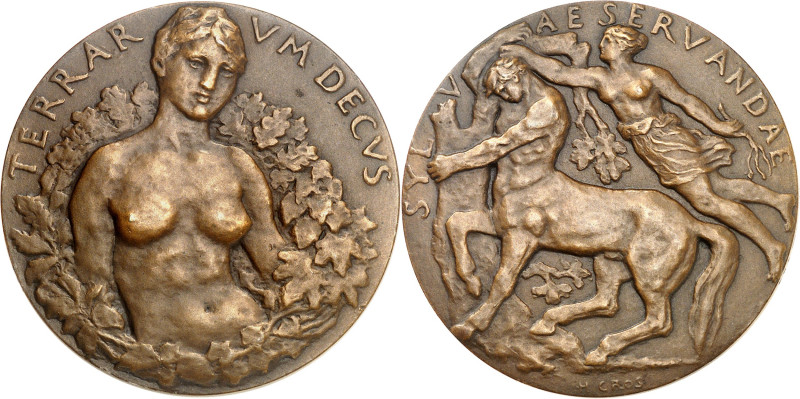 FRANCE - FRANCE
IIIe République (1870-1940). Médaille, Conservation des forêts ...