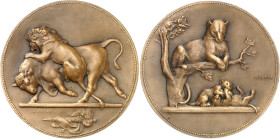 FRANCE - FRANCE
IIIe République (1870-1940). Médaille, Lion et Taureau, Panthère et ses petits par Victor Peter, SAMF n° 104 1904, Paris.
Av. Un lio...
