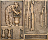 FRANCE - FRANCE
IIIe République (1870-1940). Médaille, L’Art des Jardins par François Roques, SAMF n° 87 1907, Paris.
Av. Monté sur une rambarde, un...