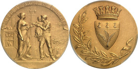 FRANCE - FRANCE
IIIe République (1870-1940). Médaille d’Or, Caisse d’épargne de Fougères, par H. Dubois, Frappe spéciale sur flan mat (SP Matte) ND (...