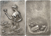 FRANCE - FRANCE
IIIe République (1870-1940). Plaquette, Archéologie, par S.-E. Vernier ND (1902), Paris.
Av. ARCHEO / LOGIE. Une jeune femme dévoilé...