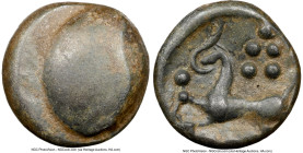 EASTERN EUROPE. Middle Danube. Ca. 2nd-1st centuries BC. AE (15mm, 3.75 gm). Choice Fine. Buckelavers type. Plain bulge (perhaps devolved head of Zeus...