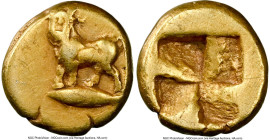 MYSIA. Cyzicus. Ca. 500-450 BC. EL 1/24 stater or myshemihecte (7mm, 0.67 gm). NGC Fine 5/5 - 3/5, brushed. Man-faced bull standing left, head facing,...