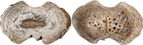 (t) CHINA. Yuansi Changyuankezi. Fine Silk Oval Ingots. Silver 11 Tael Ingot. Graded AU 55 by GBCA Grading Company.
BMC-LXXXV Group D. Weight: 403.8 ...