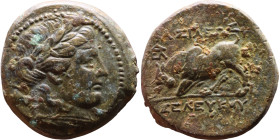 Seleukos I Nikator (Seleukid King: 312-260 BC). AE bronze. Obv.:Head of Apollo Rev.: BAΣIΛEΩΣ ΣEΛEYKOY; Humped bull butting left

21mm 7,70g