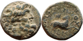 SYRIA. Antioch. Pseudoautonomous (time of Augustus: 27 BC - 14 AD). AE bronze. Obv.: laureate head of Zeus, right. Rev.: ΕΠΙ ΣΙΛΑΝΟΥ ΑΝΤΙΟΧΕΩΝ, ΔΜ (in...