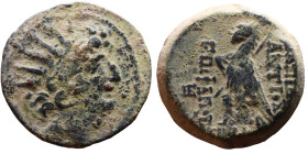Antiochos VIII (Seleukid King: 121-96 BC). AE bronze. Obv.: diademed head of Antiochus right. Rev.: BAΣІΛEΩΣ ANTIOXOY EΠIΦANOYΣ; Eagle standing left o...