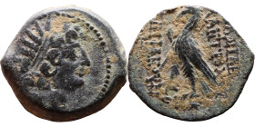 Antiochos VIII (Seleukid King: 121-96 BC). AE bronze. Obv.: diademed head of Antiochus right. Rev.: BAΣІΛEΩΣ ANTIOXOY EΠIΦANOYΣ; Eagle standing left o...