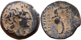 Tryphon (Seleukid King: 142-138 BC). AE bronze. Obv.: diademed bust of Tryphonos right. Rev.:ΒΑΣΙΛΕΩΣ ΤΡΥΦΩΝΟΣ (AY)ΤΟΚΡΑΤΟΡΟΣ, macedonian helmet decor...