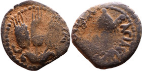 JUDAEA. Jerusalem mint. Agrippa I (under Claudius, 37-44 AD). AE prutah. Obv.: ΒΑCΙΛΕWC ΑΓΡΙΠΑ; Umbrella-like canopy with fringes. Rev.: Three ears of...