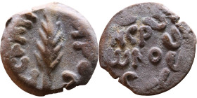 JUDAEA. Jerusalem mint. Porcius Festus (time of Nero, 59-62 AD). Bronze Prutah. Obv.: Palm-branch surrounded by L C•KAIC-APOC. Rev.: NEP • ωNO • C in ...