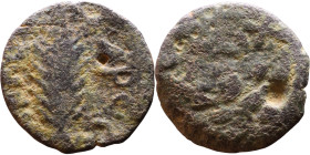 JUDAEA. Jerusalem mint. Porcius Festus (time of Nero, 59-62 AD). Bronze Prutah. Obv.: Palm-branch surrounded by L C•KAIC-APOC. Rev.: NEP • ωNO • C in ...