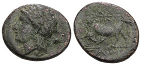 MYSIA, Gambrion. 4th century BC. Æ. Laureate head of Apollo left / Bull butting left; star above. 
Weight 3,80 gr - Diameter 16 mm.