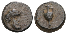 Cilicia, Nagidos, AE, Circa 360-333 BC.
Obv:Head of Pan to right
Rev: Amphora. 
Weight 1,45 gr - Diameter 9 mm.