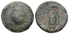 KINGS of MACEDON. Philip III Arrhidaios. 323-317 BC. Æ Half Unit. 
Weight 3,86 gr - Diameter 14 mm.