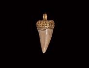 Etruscan Gold Pendant with Tooth
6th-5th century BC. A decorative gold pendant with shark's tooth, the pendant with applied filigree scrolls, wire an...