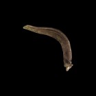 Bronze Age Scythe Blade
2nd millennium BC. A bronze scythe blade with raised rib to the rear edge and securing spur to the end terminal. 69.9 grams, ...