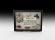 Natural History - Agatised Coral Collection
Miocene Period, 25-10 million years BP. A collection of six pieces of agatised coral in various shapes an...