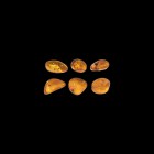 Natural History - Insects in Baltic Amber Group
Oligocene Period, 45 million years BP. A group of six pieces of clear Baltic amber all containing fli...