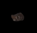 Natural History Dar El Kahal Chondrite Breccia Meteorite
. A fragment of the Dar El Kahal Chondrite Breccia Meteorite found in Gao, mali, West Africa...