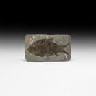Natural History - Jianghang Ichthys Fossil Fish
Pliocene Period, 4.5 million years BP. A well detailed Jianghang ichthys hubiensis fossil fish in rec...
