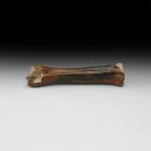 Natural History - Ice Age Bison Bone
Pleistocene Period, 40000-15000 BP. An almost complete bison lower leg bone, some of the outer layer absent show...