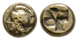 Ancient Greek Coins - Phokaia - Ionia - Civic Coinage - Athena Electrum Gold Hekte
400-390 BC. Obv: head of Athena left, wearing crested Attic helmet...