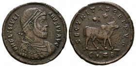Ancient Roman Imperial Coins - Julian II - Bull Double Maiorina
362-363 AD. Cyzicus mint. Obv: D N FL CL IVLIANVS P F AVG legend with diademed, drape...
