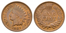 World Coins - USA - 1907 - Indian Head Cent
Dated 1907 AD. Obv: profile bust with date below and UNITED STATES OF AMERICA legend. Rev: shield above O...
