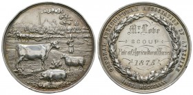 British Award Medals - General Agricultural Association of Ayrshire - 1875 - Silver Prize Medal
Dated 1875 AD. Obv: rural scene with building behind....