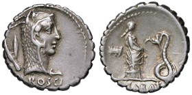 ROMANE REPUBBLICANE - ROSCIA - L. Roscius Fabatus (64 a.C.) - Denario serrato B. 3; Cr. 412/1 (AG g. 3,92)

Status: qSPL

Notes: