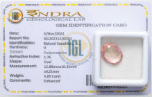 VARIE - Pietre preziose Sunshine naturale, ct 5,85, con certificato IGL

Status: Ottimo

Notes: