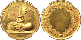"Parisian Pharmacological School" gold Medal ND (1803-Dated) MS63 NGC, Paris mint, Bram-264. 38.5mm. 46.53gm. By Brenet. Denon as mintmaster. Unawarde...