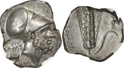 LUCANIA. Metapontum. Ca. 340-330 BC. AR stater (21mm, 7.90 gm, 3h). NGC AU 4/5 - 4/5, Fine Style. AMI, head of Leucippus right, wearing Corinthian hel...