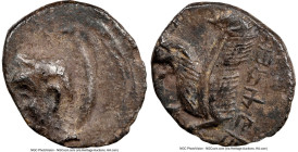 JUDAEA. Yehud Era. Macedonian Period (ca. 333-302 BC). AR half-obol (7mm, 0.24 gm, 1h). NGC Choice XF 3/5 - 4/5. Young male head left / YHZQYH (Paleo-...