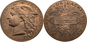 Landwirtschaft und Gartenbau 
Bronze-Preismedaille
1883

des französischen Landwirtschaftsministeriums anlässlich des regionalen Landwirtschaftswe...