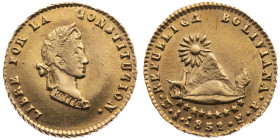 Bolivien 
Republik, seit 1825
1/2 Escudo
1852FP

Vs: Kopf Bolivars n. r., Umschrift
Rs: Wappen, Umschrift

Material: Gold 875

Gewicht: 1.70...