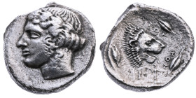 Sizilien 
Leontinoi
Tetradrachme
430-422 v.Chr

Vs: Kopf des Apollo mit Lorbeerkranz n. l.
Rs: Kopf eines Löwen n. r., darum drei Gerstenkörner...