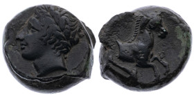 Sizilien 
Soloi (Kefra)
AE 14.0
Spätes 4. Jh. - frühes 3. Jh. v. Chr.

Vs: Kopf mit Lorbeerkranz n. l.
Rs: Pferdeprotome n. r., unten Delphin
...