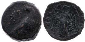 Korkyra 
AE 17.0
um 281 v.Chr.

(unter Pyrrhos von Epirus)
Vs: Adler n. r., Kopf umgewandt, l. Kranz
Rs: Nike mit Aphlaston und Kranz n. l. steh...