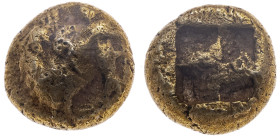 Mysien 
Kyzikos
1/12 Stater
um 600-550 v.Chr.

Vs: Pantherkopf n. vorn, r. Thunfisch.
Rs: Quadratum incusum.

Material: Elektron 

Größe: 6....