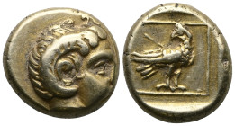 Greek Coins Lesbos, Mytilene Hecte circa 377-326, EL 2.55 g. Young male head r., with the horn of Ammon. Rev. Eagle standing r., with closed wings, lo...