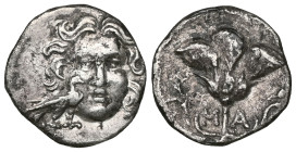 Greek Coins CARIA - CARIAN ISLANDS - RHODES Type: Drachm Date: c. 175-160 BC Mint name / Town: Mylassa, Caria Obverse legend: Anepigraph Obverse descr...
