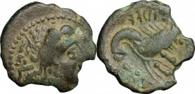Celtic World. Uncertain Tribe. AE 15mm, uncertain mint in North Italy, imitation of Massalia, c. 1st-2nd century. D/ Head of nymph right. R/ Stylized ...