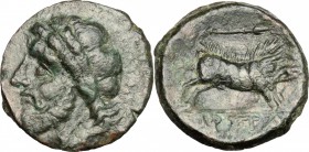 Greek Italy. Northern Apulia, Arpi. AE 21 mm., circa 325-275 BC. D/ Laureate head of Zeus left; thunderbolt behind. R/ Wild boar right; above, spearhe...